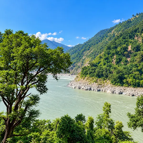 koshi-river